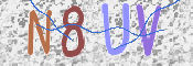 CAPTCHA (Şahıs Denetim Kodu) Resmi