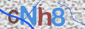 CAPTCHA (Şahıs Denetim Kodu) Resmi