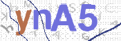 CAPTCHA (Şahıs Denetim Kodu) Resmi