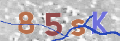 CAPTCHA (Şahıs Denetim Kodu) Resmi