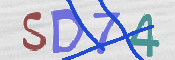 CAPTCHA (Şahıs Denetim Kodu) Resmi