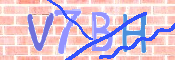 CAPTCHA (Şahıs Denetim Kodu) Resmi