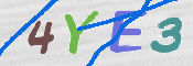 CAPTCHA (Şahıs Denetim Kodu) Resmi