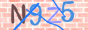 CAPTCHA (Şahıs Denetim Kodu) Resmi
