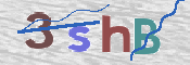 CAPTCHA (Şahıs Denetim Kodu) Resmi
