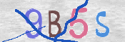 CAPTCHA (Şahıs Denetim Kodu) Resmi