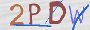 CAPTCHA (Şahıs Denetim Kodu) Resmi