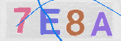 CAPTCHA (Şahıs Denetim Kodu) Resmi