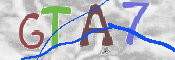 CAPTCHA (Şahıs Denetim Kodu) Resmi