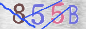 CAPTCHA (Şahıs Denetim Kodu) Resmi