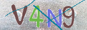 CAPTCHA (Şahıs Denetim Kodu) Resmi