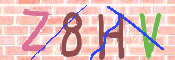 CAPTCHA (Şahıs Denetim Kodu) Resmi