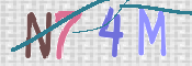 CAPTCHA (Şahıs Denetim Kodu) Resmi
