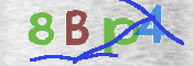 CAPTCHA (Şahıs Denetim Kodu) Resmi