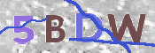 CAPTCHA (Şahıs Denetim Kodu) Resmi