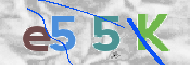 CAPTCHA (Şahıs Denetim Kodu) Resmi