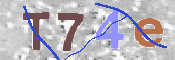 CAPTCHA (Şahıs Denetim Kodu) Resmi