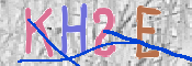 CAPTCHA (Şahıs Denetim Kodu) Resmi