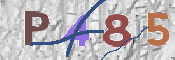 CAPTCHA (Şahıs Denetim Kodu) Resmi