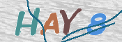 CAPTCHA (Şahıs Denetim Kodu) Resmi