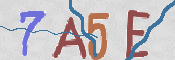 CAPTCHA (Şahıs Denetim Kodu) Resmi