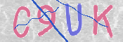 CAPTCHA (Şahıs Denetim Kodu) Resmi