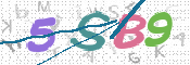 CAPTCHA (Şahıs Denetim Kodu) Resmi