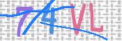 CAPTCHA (Şahıs Denetim Kodu) Resmi