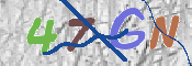 CAPTCHA (Şahıs Denetim Kodu) Resmi