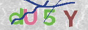 CAPTCHA (Şahıs Denetim Kodu) Resmi