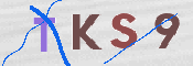 CAPTCHA (Şahıs Denetim Kodu) Resmi