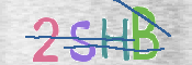CAPTCHA (Şahıs Denetim Kodu) Resmi