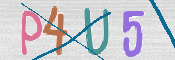CAPTCHA (Şahıs Denetim Kodu) Resmi