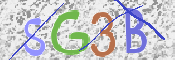 CAPTCHA (Şahıs Denetim Kodu) Resmi