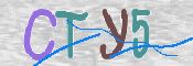 CAPTCHA (Şahıs Denetim Kodu) Resmi