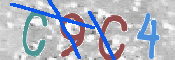 CAPTCHA (Şahıs Denetim Kodu) Resmi