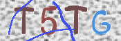 CAPTCHA (Şahıs Denetim Kodu) Resmi
