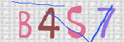 CAPTCHA (Şahıs Denetim Kodu) Resmi