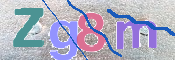 CAPTCHA (Şahıs Denetim Kodu) Resmi
