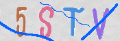 CAPTCHA (Şahıs Denetim Kodu) Resmi