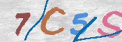 CAPTCHA (Şahıs Denetim Kodu) Resmi