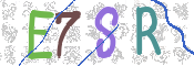 CAPTCHA (Şahıs Denetim Kodu) Resmi