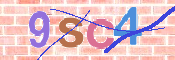 CAPTCHA (Şahıs Denetim Kodu) Resmi