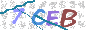 CAPTCHA (Şahıs Denetim Kodu) Resmi