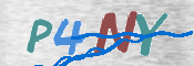 CAPTCHA (Şahıs Denetim Kodu) Resmi