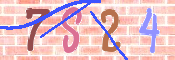 CAPTCHA (Şahıs Denetim Kodu) Resmi