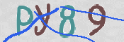 CAPTCHA (Şahıs Denetim Kodu) Resmi