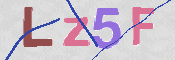 CAPTCHA (Şahıs Denetim Kodu) Resmi