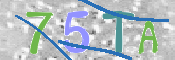 CAPTCHA (Şahıs Denetim Kodu) Resmi