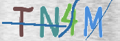 CAPTCHA (Şahıs Denetim Kodu) Resmi